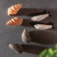 &Klevering - Zout & peper mossel Peper- en zout set &Klevering