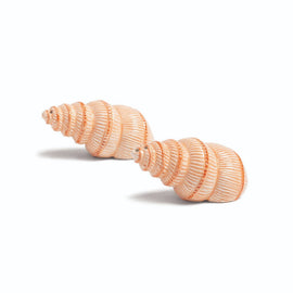 &Klevering - Salt & pepper shell &Klevering - Zout & peper schelp Peper- en zout set &Klevering