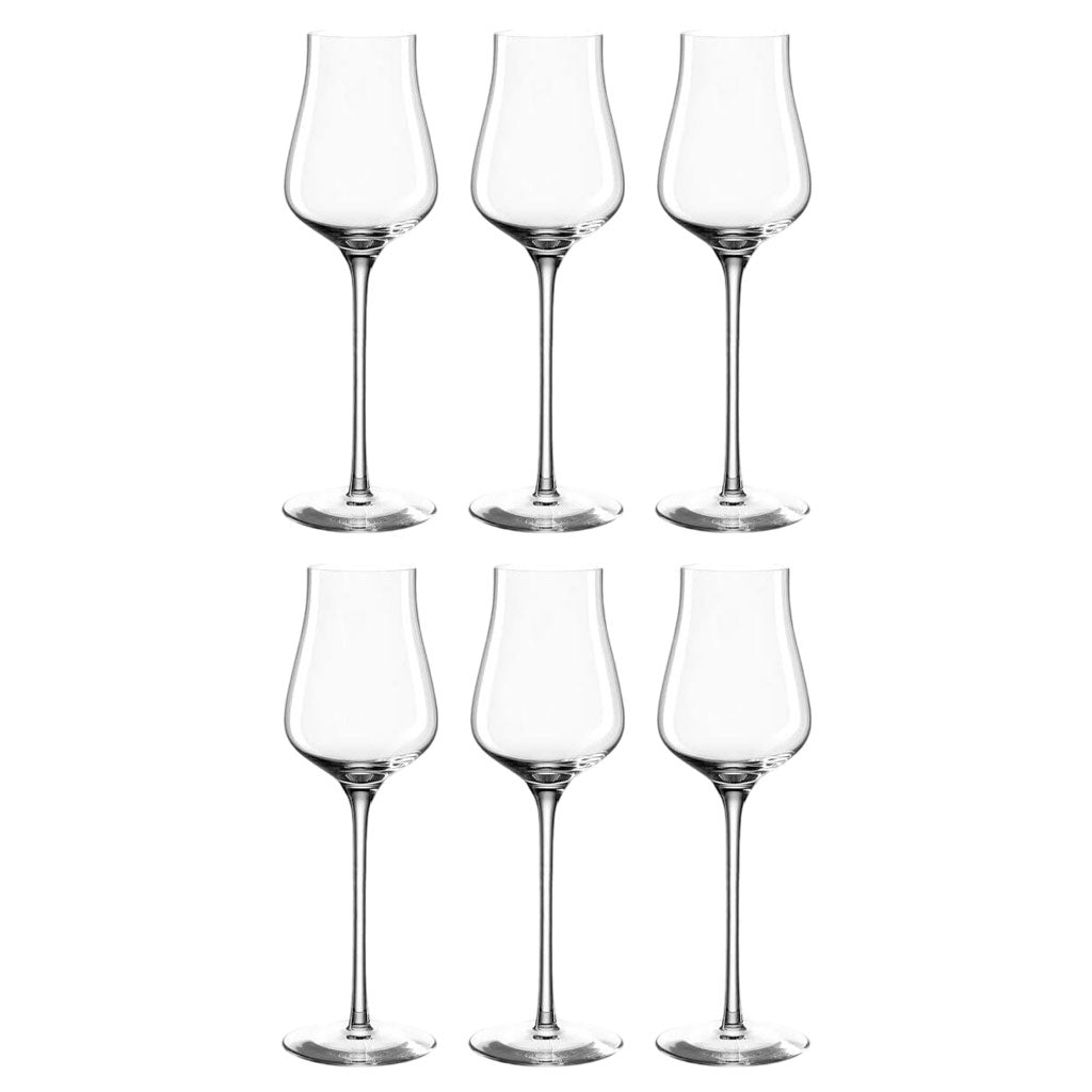 Leonardo - BRUNELLI Grappa Glasses 210ml - Pack of 6