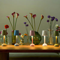 Addison Ross - Scallop Tafellamp LED - White - 28 cm Tafellamp Addison Ross 