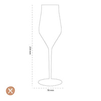 Leonardo - BRUNELLI Champgne Glazen 340ml - 6 stuks Champagne glazen Leonardo 