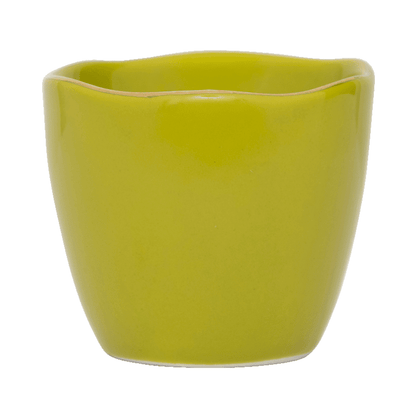 Urban Nature Culture - Good Morning - Eierdopjes - split pea - set van 2 Urban Nature Culture 