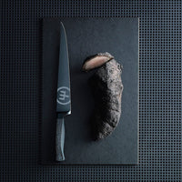 Wusthof - Performer Vleesmes 26 cm Vleesmes Wusthof 